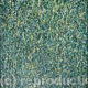 For Ever Green | | 80 x 100cm | Oil on Canvas For Ever Green