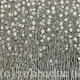 Lunaria | | 40 x 51cm | Acrylic on Canvas Lunaria