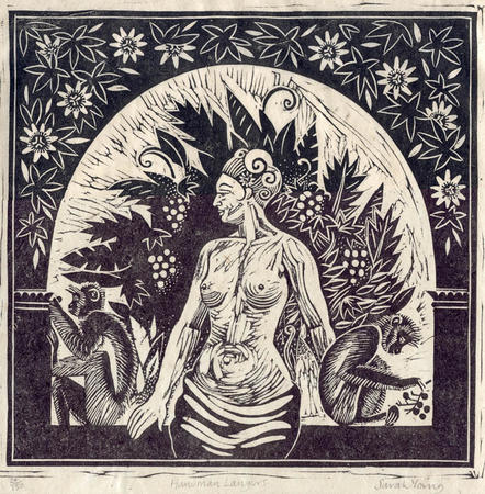 Hanuman Langurs