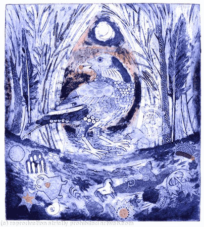 Bower Bird