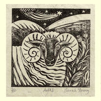 Aries (Mar21-Apr19)