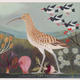 Curlew at Yar Estuary…