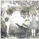 Circus Series h