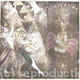 Circus Series i
