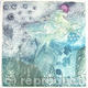 Metamorphoses e