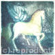 Metamorphoses g