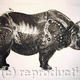Rhinoceros