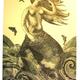 Mermaid - SOLD OUT