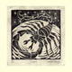 Scorpio (Oct24 - Nov21)