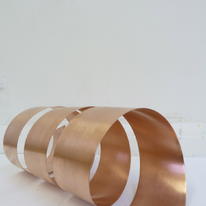 Call, 2011