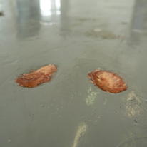 A few small repairs, Gloucester Building, City College, Brighton