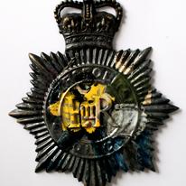 Police Force