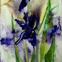 iris inspiration 1 