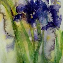 iris inspiration II