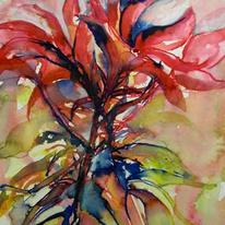 Plant Profusion