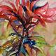 Plant Profusion