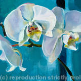 White Orchid: Trio - Oil on Canvas