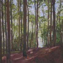 Tall Trees