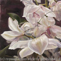 White Orchid at Dusk