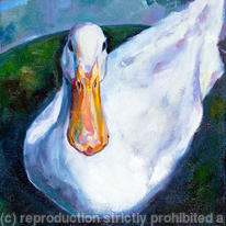 Duck in Tin Bath