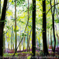 Spring Beech Trees