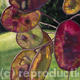 Purple Honesty