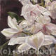 White Orchid at Dusk