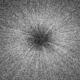 burst | | 29 x 29cm | digital print burst