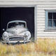 Old Moggy