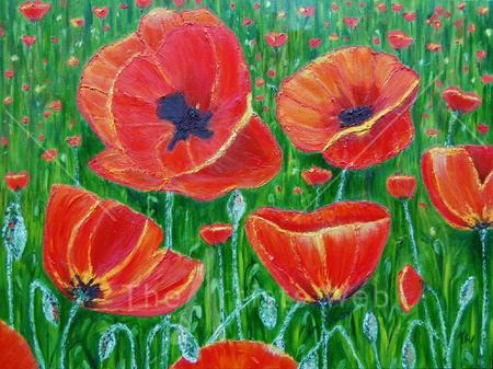 Poppy Field