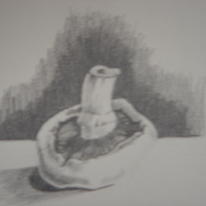 Mushroom