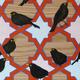 Blackbirds