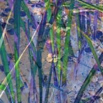 Reed Design