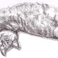 Cat stretching