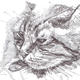 Cat called Jasper