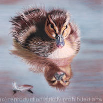 Featherweight