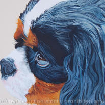 Julius - The Artist's Dog