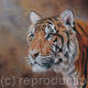 Burning Bright | (sold) | | Pastel on Velour Burning Bright