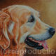 Faithful | | | Coloured Pencil Faithful