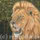 Crown of Thorns | £395 | | Pastel on board Crown of Thorns