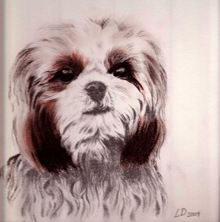 Gizmo