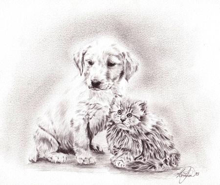 Pup 