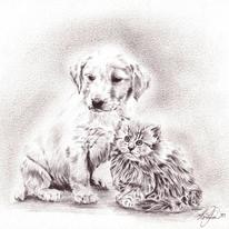 Pup 