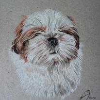 Puppy Gizmo