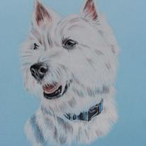 West Highland White Terrier