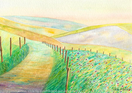 Chalk Pathways
