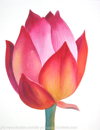 Flower Bud
