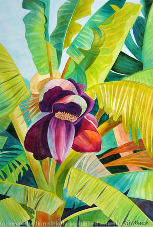 Banana Flower