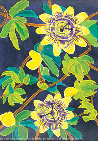 Passion Flowers