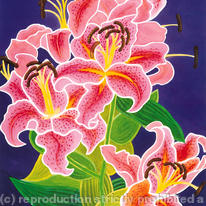 Lillies